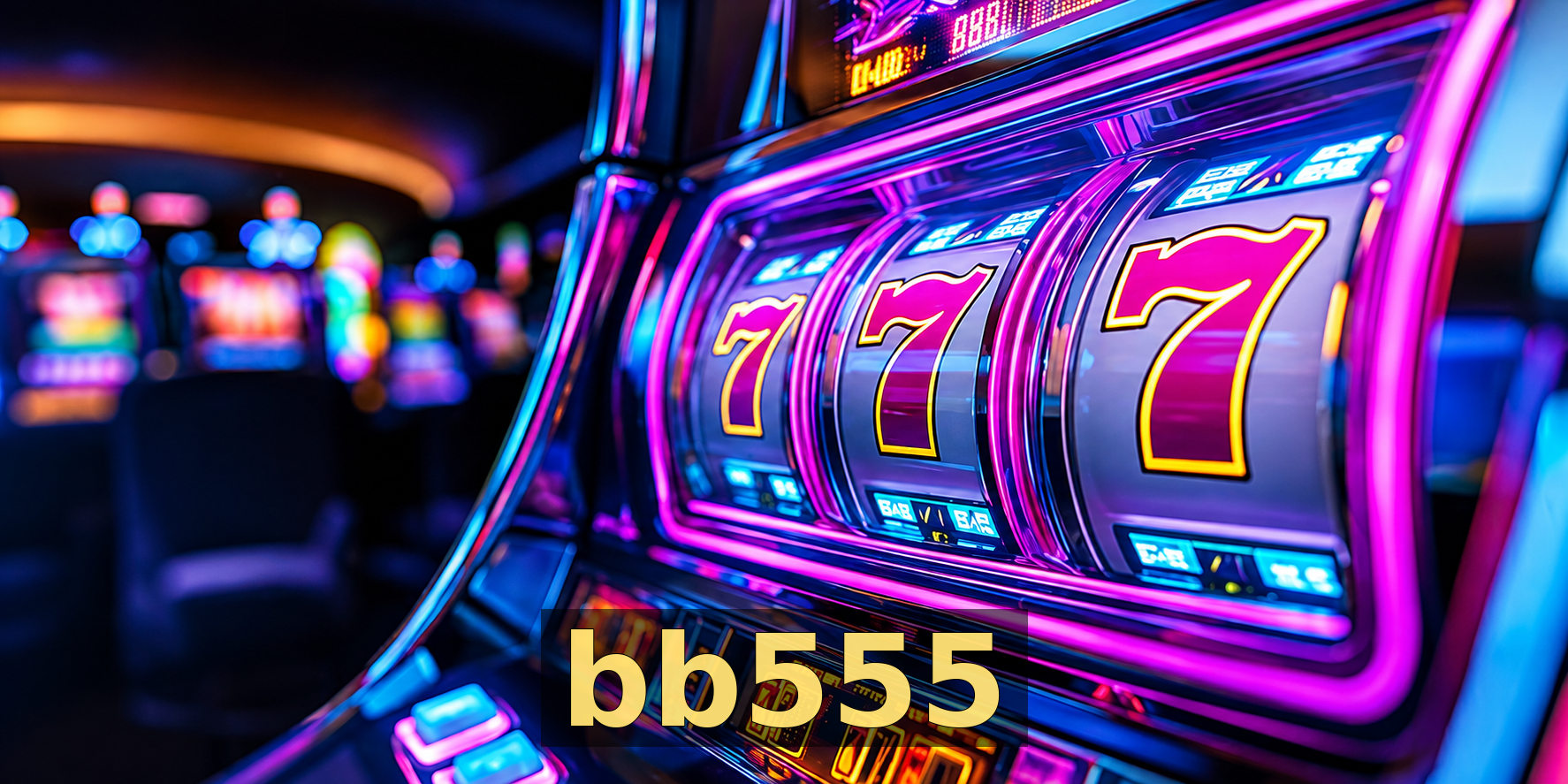 bb555 — destaque 2